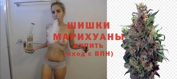 прущая мука Нея