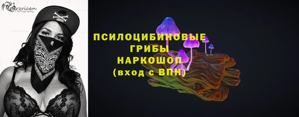 прущая мука Нея