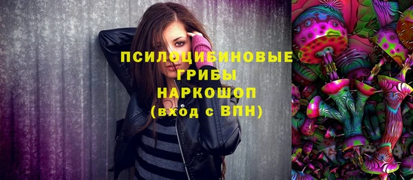 прущая мука Нея