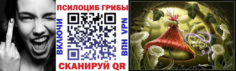 Псилоцибиновые грибы GOLDEN TEACHER  Пущино 